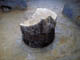 FileNo.054-031.jpg