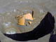 FileNo.054-038.jpg