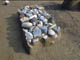 FileNo.054-054.jpg