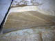 FileNo.054-058.jpg