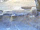 FileNo.054-060.jpg