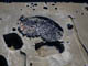 FileNo.054-063.jpg