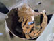 FileNo.054-069.jpg