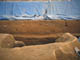 FileNo.054-074.jpg