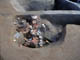 FileNo.054-075.jpg