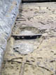 FileNo.055a-002.jpg