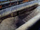 FileNo.055b-002.jpg