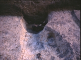 FileNo.055C-S004.jpg