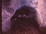 FileNo.055C-S005.jpg