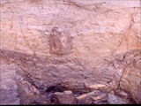 FileNo.055C-S007.jpg