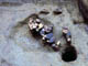 FileNo.055c-017.jpg
