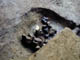 FileNo.055c-018.jpg