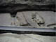 FileNo.055c-019.jpg
