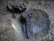 FileNo.055c-023.jpg