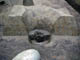 FileNo.055c-028.jpg