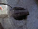 FileNo.055c-043.jpg