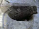 FileNo.055c-044.jpg