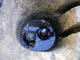 FileNo.055c-046.jpg