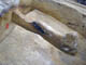 FileNo.056c-004.jpg