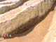 FileNo.056c-006.jpg