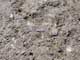 FileNo.057-007.jpg