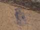FileNo.057-023.jpg