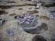 FileNo.059-037.jpg