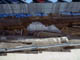 FileNo.060-039.jpg