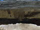 FileNo.060-042.jpg