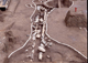 FileNo.060-S02.jpg