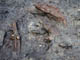 FileNo.061-004.jpg