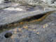 FileNo.061-005.jpg