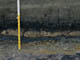 FileNo.061-006.jpg