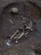 FileNo.062-001.jpg