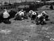 FileNo.062-002.jpg