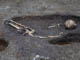 FileNo.062-005.jpg