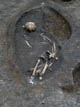 FileNo.062-006.jpg