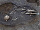 FileNo.062-007.jpg
