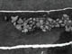 FileNo.062-016.jpg