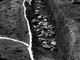 FileNo.062-018.jpg