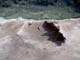 FileNo.064-004.jpg