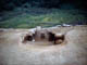 FileNo.064-009.jpg