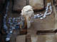 FileNo.064-012.jpg