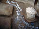 FileNo.064-013.jpg