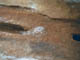 FileNo.064-021.jpg