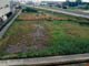 FileNo.066-001.jpg