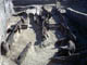 FileNo.066-009.jpg