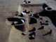 FileNo.066-023.jpg