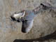 FileNo.066-025.jpg