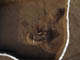 FileNo.066-026.jpg